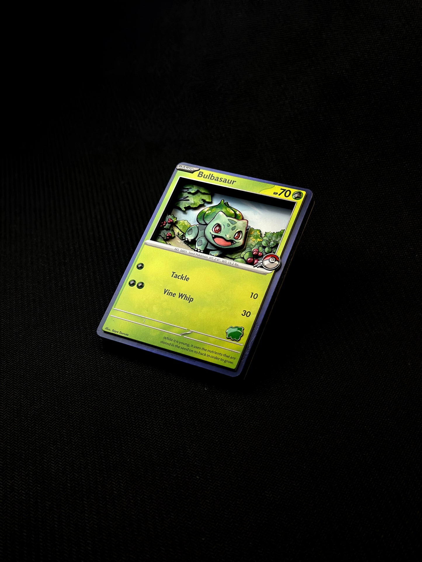 Bulbasaur Shadowbox 1/1