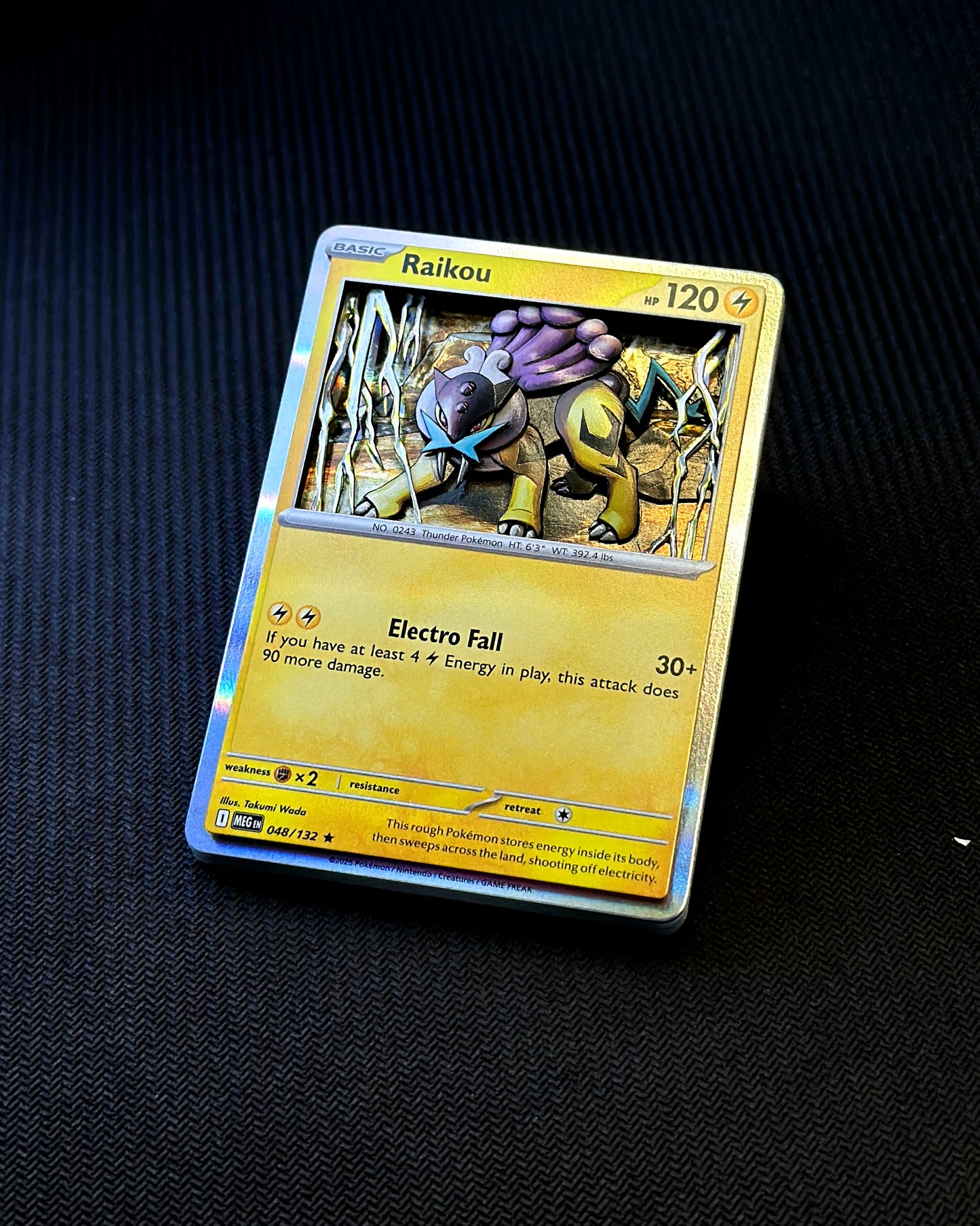 Raikou Shadowbox 1/1