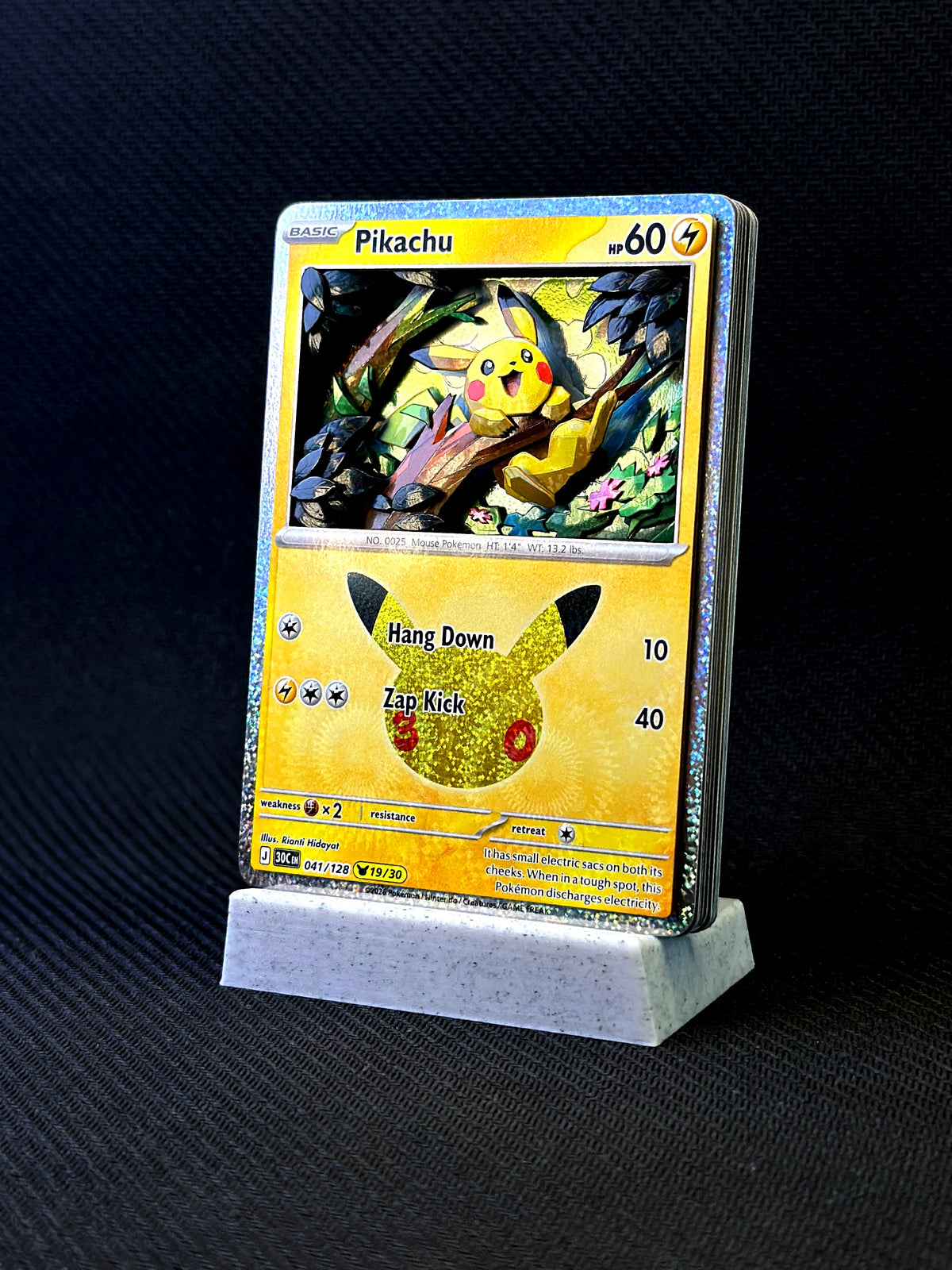 Pikachu Shadowbox 1/1