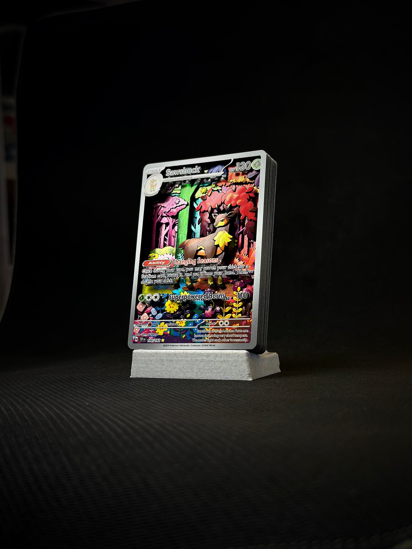 Sawsbuck Shadowbox 1/1