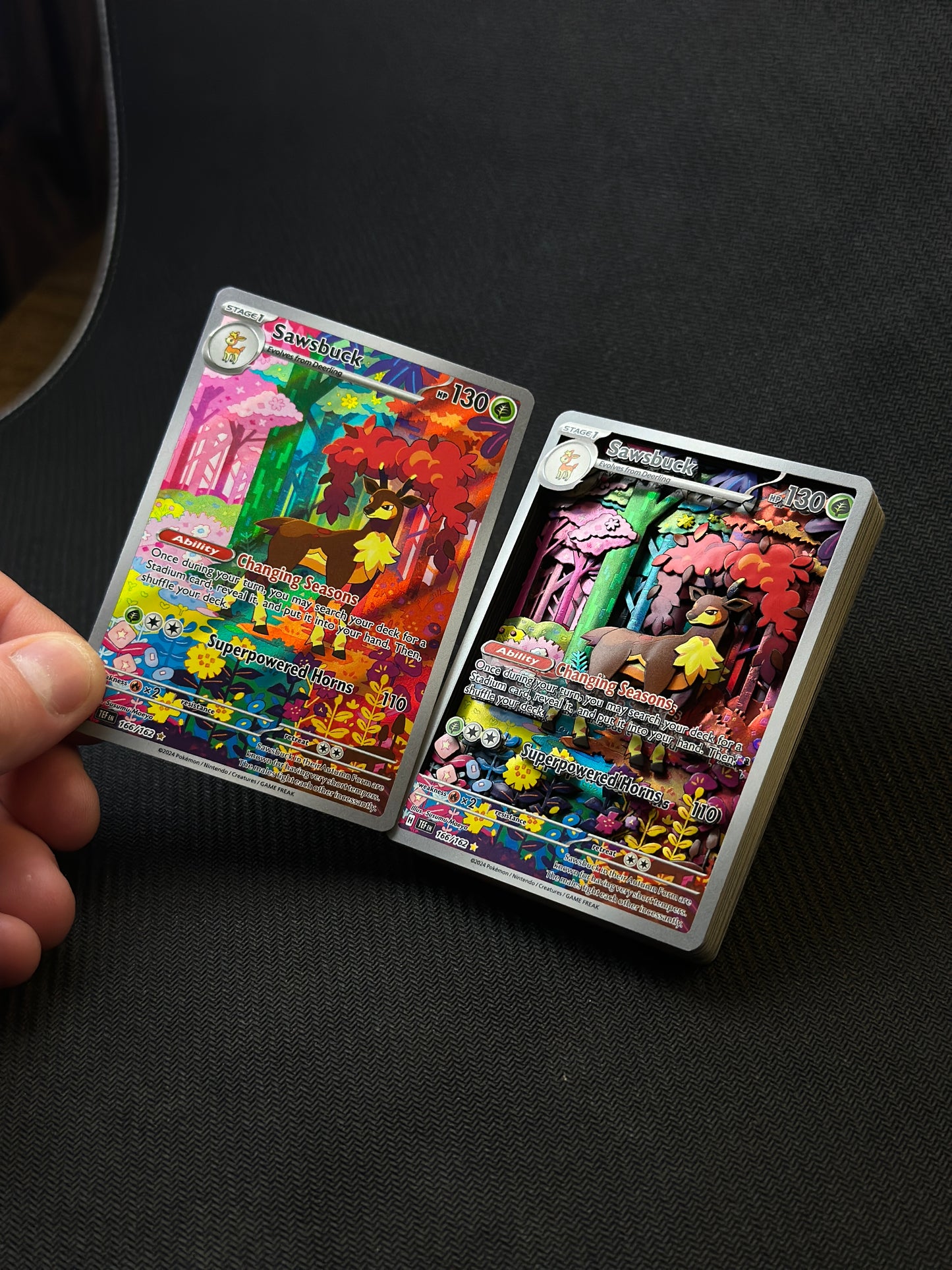 Sawsbuck Shadowbox 1/1